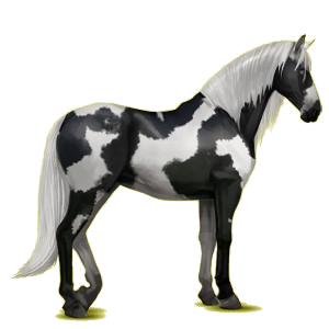 Reitpferd Andalusier Hellgrau