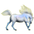 Pony Shetlandpony Apfelschimmel