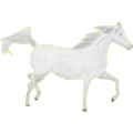 Reitpferd Trakehner Hellgrau