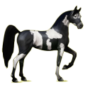 Pegasus-Reitpferd Roan