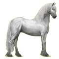 Reitpferd Friese Rappe