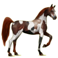 Pegasus-Reitpferd Araber Fuchs