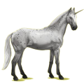 Einhorn-Reitpferd Dunkelbrauner