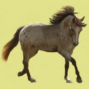 525-normal.jpg