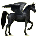 Pegasus-Reitpferd Araber Rappe