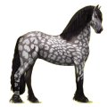 Reitpferd Friese Rappe
