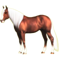 Pegasus-Reitpferd Paint Horse Brauner mit Tobiano-Scheckung