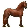 Reitpferd Friese Rappe