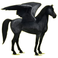 Pegasus-Reitpferd Mustang Falbe