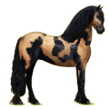 Reitpferd Friese Rappe