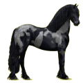 Reitpferd Friese Rappe