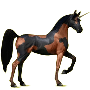 Einhorn-Reitpferd Araber Hellgrau