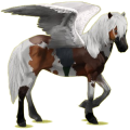 Pegasus-Reitpferd Isländer Rotbrauner