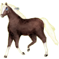 Reitpferd Paint Horse Fuchs mit Tobiano-Scheckung