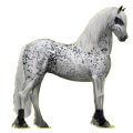 Pegasus-Reitpferd Friese Rappe