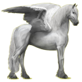 Pegasus-Reitpferd Friese Rappe