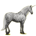 Einhorn-Reitpferd Andalusier Dunkelbrauner