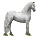 Reitpferd Friese Rappe