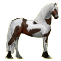 Reitpferd Friese Rappe