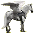 Pegasus-Reitpferd Andalusier Hellgrau
