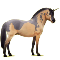 Einhorn-Pony Norweger Braunfalben