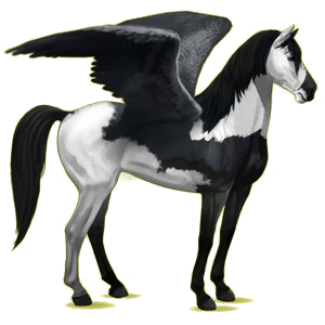 Pegasus-Reitpferd Mustang Dunkelbrauner