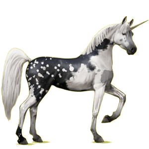 Einhorn-Reitpferd Araber Falbe