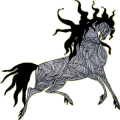 Reitpferd Andalusier Brauner