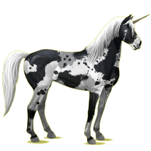Einhorn-Reitpferd Mustang Roan