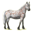 Pegasus-Pony Haflinger Fuchs mit heller Mähne