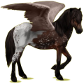Pegasus-Reitpferd Isländer Dunkelbrauner