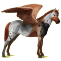 Pegasus-Pony Deutsches Reitpony Strawberry Roan