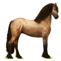 Reitpferd Friese Rappe