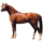 Reitpferd Trakehner Fuchs