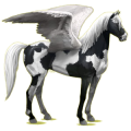 Pegasus-Reitpferd Mustang Rotschecke