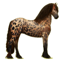 Reitpferd Friese Rappe