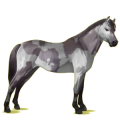 Pony Falbe