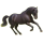 Pony Deutsches Reitpony Rappe
