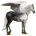 Pegasus-Reitpferd Andalusier Brauner