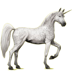 Einhorn-Reitpferd Araber Hellgrau