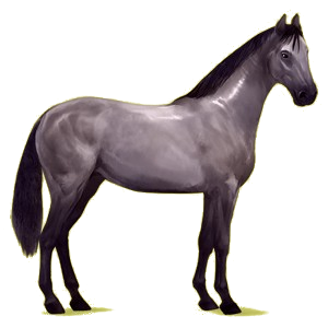 Reitpferd Don-Pferd Fuchs