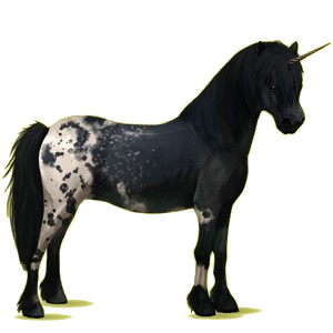 Einhorn-Pony Neufundland Pony Rotbrauner