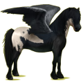 Pegasus-Pony Neufundland Pony Strawberry Roan