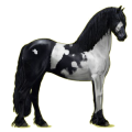 Pegasus-Reitpferd Friese Rappe
