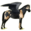 Pegasus-Pony Deutsches Reitpony Brauner