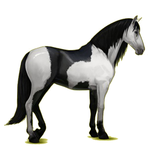 Reitpferd Andalusier Rotbrauner