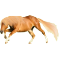 Pony Shetlandpony Fuchs
