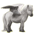 Pegasus-Pony Shetlandpony Fuchs