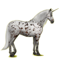 Einhorn-Reitpferd Andalusier Apfelschimmel