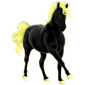 Reitpferd Araber Fuchs